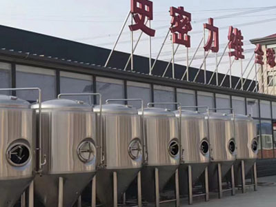 玉门精酿啤酒设备厂—如何判断精酿啤酒设备的密封件需要更换？